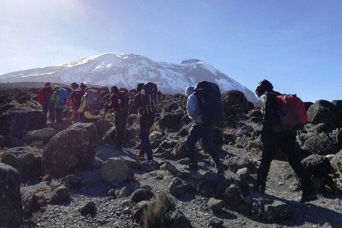 Multi-Day Tour RONGAI Route Kilimanjaro Trekking - What We Love About the Experience