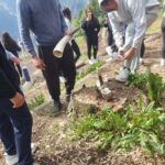 Mürren: Nordic Mythology Hike with Expert Guide - Why the Tour Offers Good Value