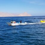 Musandam Dibba Water Activities - Authenticity and Reviews: What Travelers Say