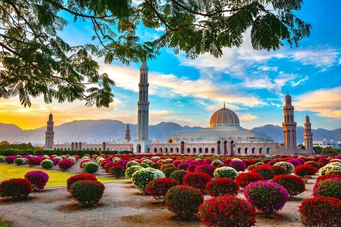Muscat City Tour from Dubai with Free Visa & Omani Lunch - Who Should Book This Tour?
