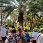 Muscat City Tour with All Language Guide - Transportation & Timing