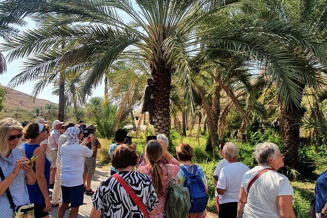 Muscat City Tour with All Language Guide - Transportation & Timing