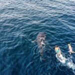 Muscat Snorkeling Trip to Daymaniyat Islands with BBQ lunch - What to Expect from the Trip