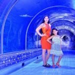 Museum Grand Aquarium from Hurghada - Who is This Tour Best For?