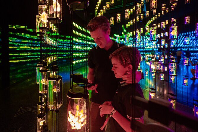 Museum of the Future Tickets - The Itinerary: What You’ll Experience