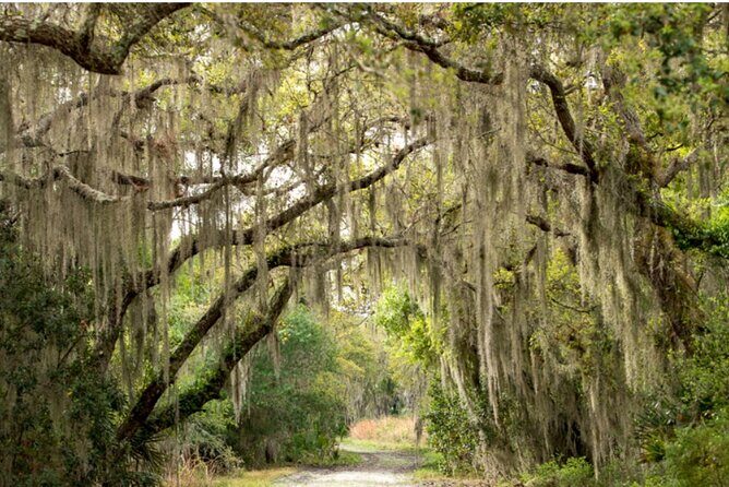 Myakka State Park E-bike Safari - Practical Details and Considerations