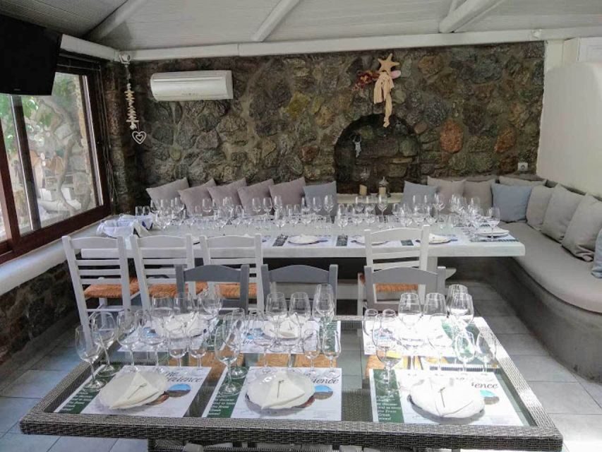 Mykonos: Half-Day Wine Tasting and Snack at a Local House - A Closer Look at the Experience
