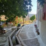 Myli: Beekeeping Secrets Guided Tour with Traditional Meze - Honey Tasting & Hive Products