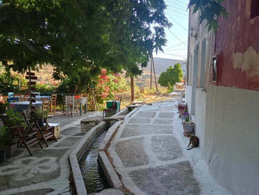 Myli: Beekeeping Secrets Guided Tour with Traditional Meze - Honey Tasting & Hive Products