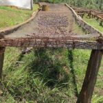 Nairobi Coffee Farm and Factory Tour - Key Points