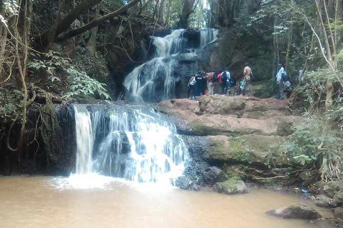 Nairobi Day Tour to Karura Forest Hike, Trail Bike & Nature Walk - Activities and Trails: What’s Included?