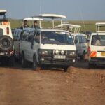 Nairobi National Park 1.p.m Game Drive - Practical Tips for Your Safari