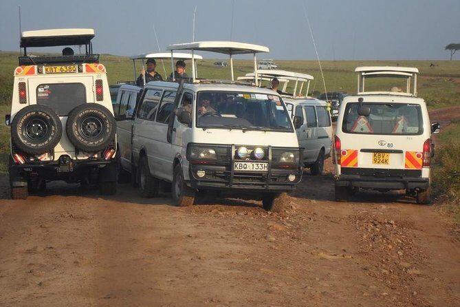 Nairobi National Park 1.p.m Game Drive - Practical Tips for Your Safari