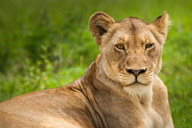 Nairobi National park And Giraffe Center: Free Wi-Fi Connection - The Practicalities