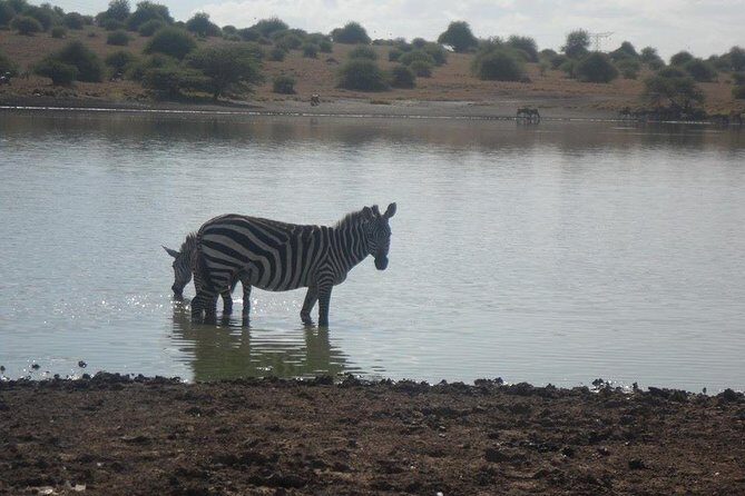 Nairobi National Park/ Giraffe Centre - Who Will Love This Tour?