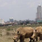 Nairobi National Park guided tour - Why Choose This Tour? What We Love