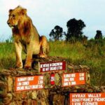 Nairobi National Park: Half Day Guided Tour From Nairobi - Why This Tour Represents Good Value