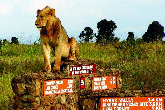 Nairobi National Park: Half Day Guided Tour From Nairobi - Why This Tour Represents Good Value