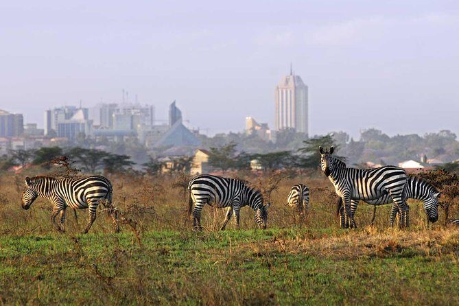 Nairobi National Park Half Day Tour - Who Should Consider This Tour?