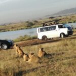 Nairobi National Park Half-Day Tour; Free Wi-Fi connection - What Makes This Tour Stand Out