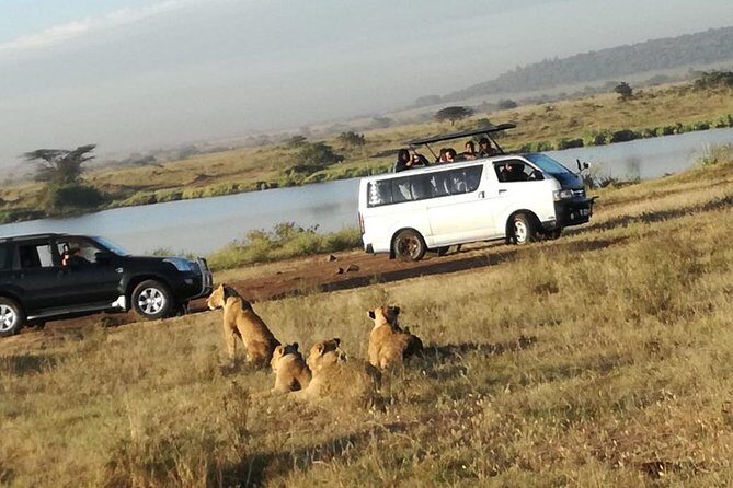 Nairobi National Park Half-Day Tour; Free Wi-Fi connection - What Makes This Tour Stand Out