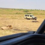Nairobi National Park Private Half Day Tour with Pick up - What Makes This Tour Stand Out?