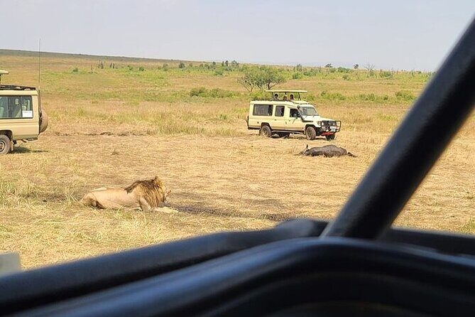 Nairobi National Park Private Half Day Tour with Pick up - What Makes This Tour Stand Out?