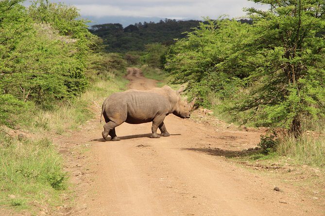 Nairobi National Park Private Safari - Who Is This Tour Best For?