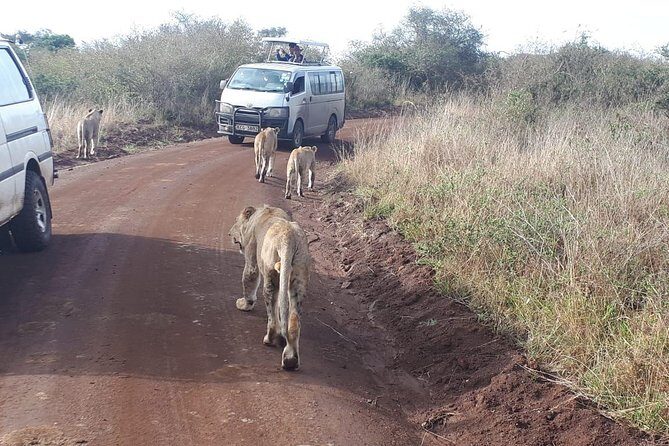 Nairobi National Park, Sheldrick Elephant, Giraffe Centre Tour - Highlights and Why They Matter