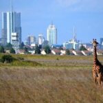 Nairobi National Park,Elephant Orphanage, Giraffe Center and Karen Blixen Museum - Authentic Experiences from Reviews
