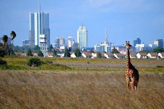 Nairobi National Park,Elephant Orphanage, Giraffe Center and Karen Blixen Museum - Authentic Experiences from Reviews