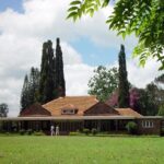 Nairobi National Park,Giraffe Centre, Karen Blixen Museum. - David Sheldrick Wildlife Trust: Elephant Orphanage