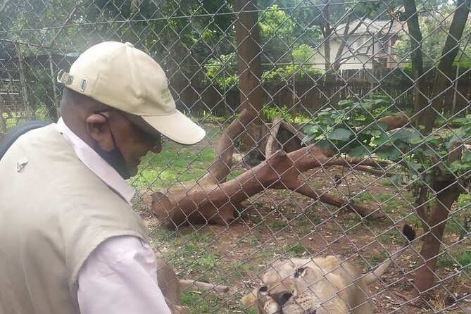 Nairobi orphanage half day tour - Why This Tour Matters: Conservation and Education