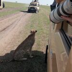 Nairobi Park Wildlife Safari - Who Should Consider This Tour?