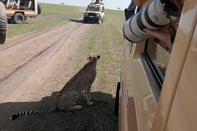 Nairobi Park Wildlife Safari - Who Should Consider This Tour?