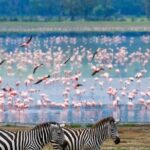 Naivasha Full Day Safari - An In-Depth Look at the Naivasha Full Day Safari