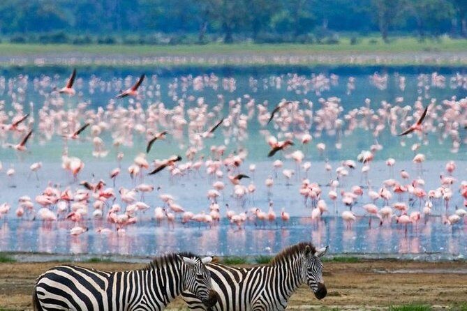Naivasha Full Day Safari - An In-Depth Look at the Naivasha Full Day Safari