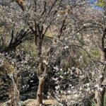 Nakhal Hotspring and Wakan Village Private Full Day Tour - Why the Tour Offers Great Value