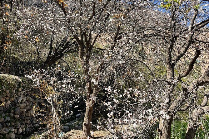 Nakhal Hotspring and Wakan Village Private Full Day Tour - Why the Tour Offers Great Value