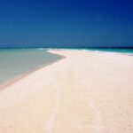 Nakupenda Beach Day Tour in Zanzibar - Final Thoughts