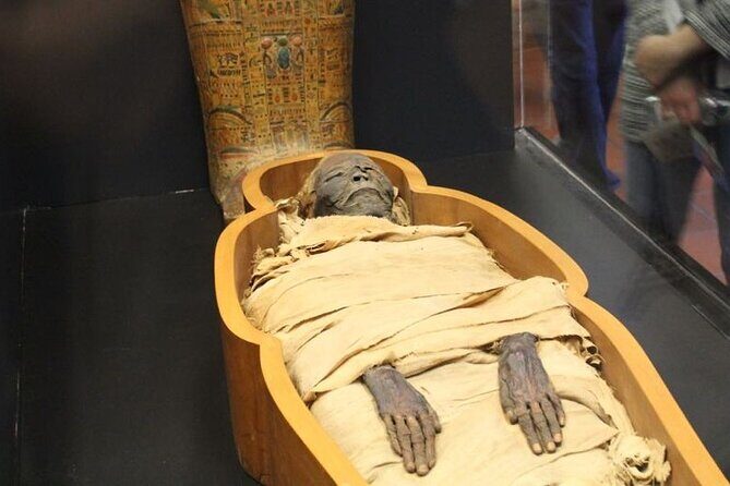 National Museum of Egyptian Civilization Private Guided Tour - Who Will Love This Tour?