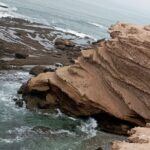 National Park & Sahara Day trip with Food - Practical Details and Considerations