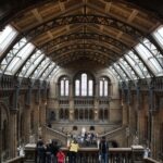 Natural History Museum e Kensington Garden - Walking Tour through Kensington and Hyde Park