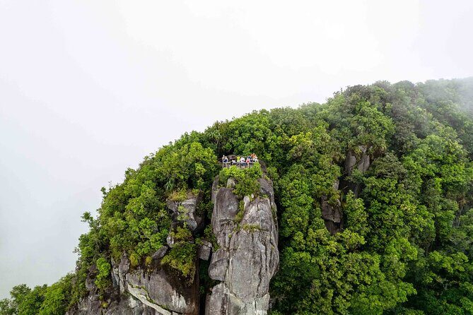 Nature trail - Morne Blanc (Mahe) - The Start: Tea Plantation and Nature Trail