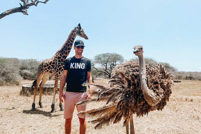 Nature Walk with Giraffes in Mombasa - The Experience: Authenticity and Clear Value