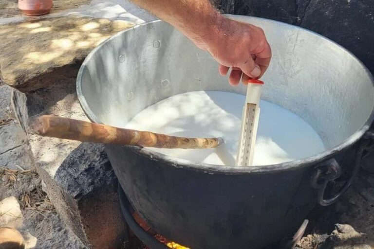 Naxos Private Cheese and Wine 6 Hour Experience - What You Can Expect from the Tour