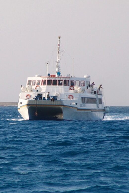 Naxos: Santorini Day Trip by Boat - Who Is This Tour Perfect For?