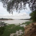 N'DJAMENA The Elephant-Dandi rock and Doughia tourist resort - Who Is This Tour Best For?
