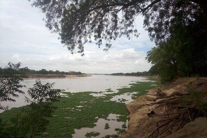 N'DJAMENA The Elephant-Dandi rock and Doughia tourist resort - Who Is This Tour Best For?