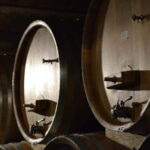 NEIVE: WINERY TOUR AND TASTING OF 5 WINES - The Tasting Experience: Five Wines in Neive’s Historic Heart